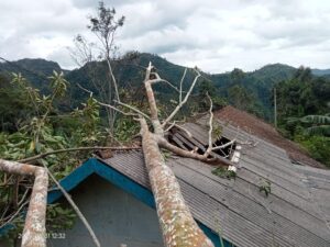 Rumah Warga di Talegong Rusak Tertimpa Pohon Akibat Angin Kencang