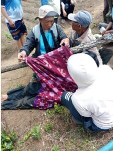 Pohon Tumbang Akibat Angin Kencang di Pamulihan Garut, Satu Orang Meninggal Dunia